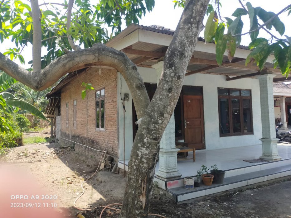 Di jual rumah dan tanah luas di Dukuh Karangmojo Teras Boyolali