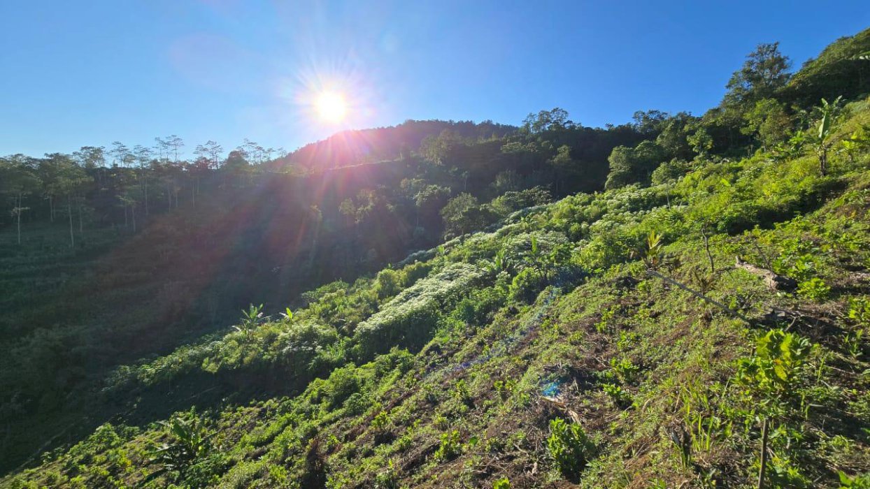 Jual tanah murah dekat danau Kitamani Bangli