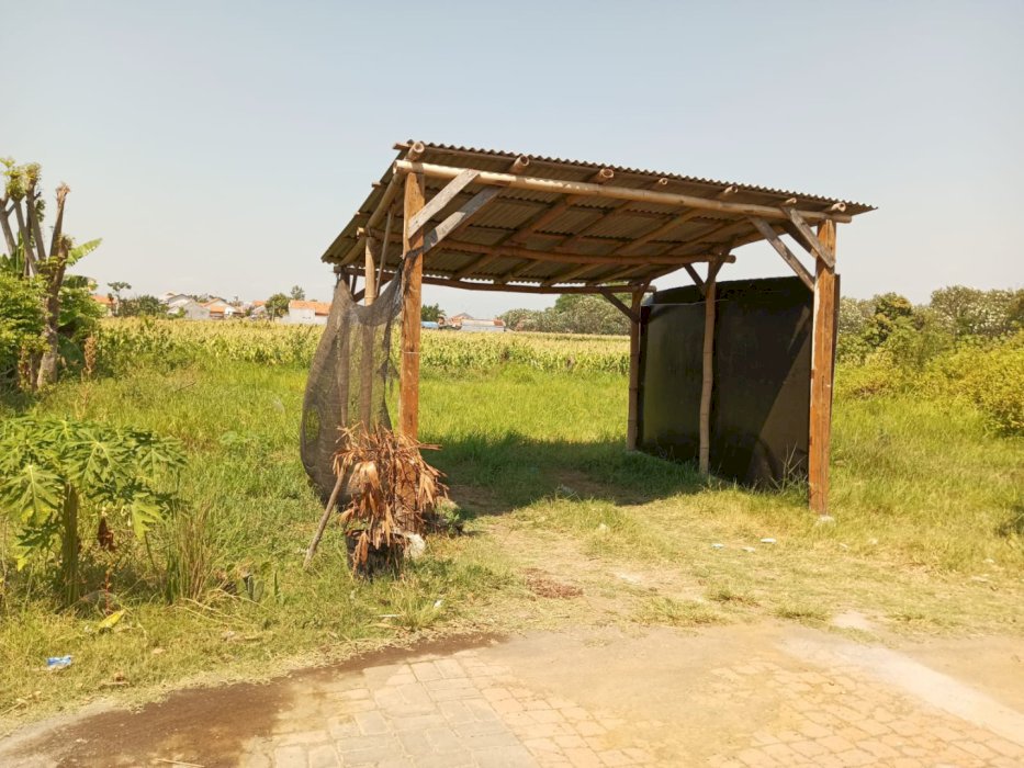 Jual Tanah Lokasi Strategis, Peluang Investasi di Probolinggo