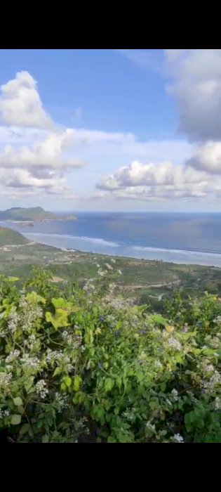 Full view Torok Luas -+20 are