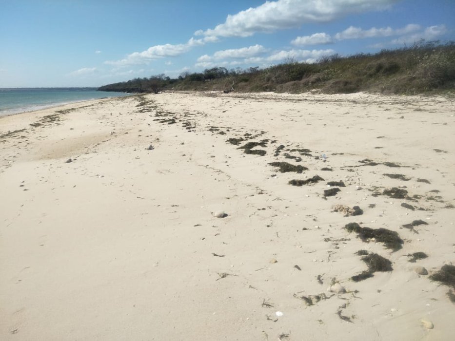 JUAL CEPAT: TANAH PINGGIR PANTAI, BONDO BOGHILA, SUMBA BARAT DAYA, NTT