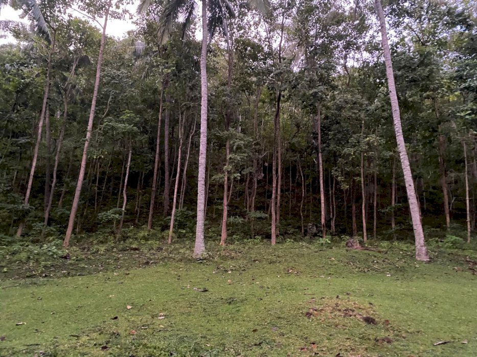 Jual tanah pemandangan indah, terletak di Setangi, Lombok Utara, NTB