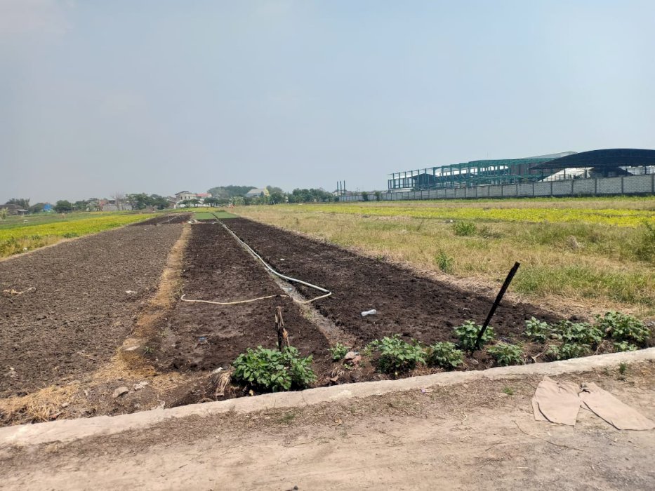 Di jual tanah lokasi strategis di desa Modong Tulangan Sidoarjo