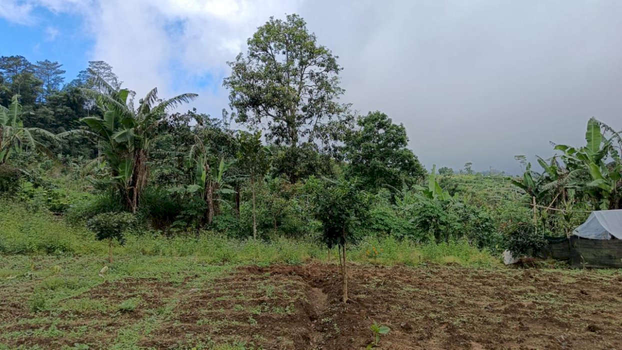 Di jual Tanah dekat Danau Bedugul Bali
