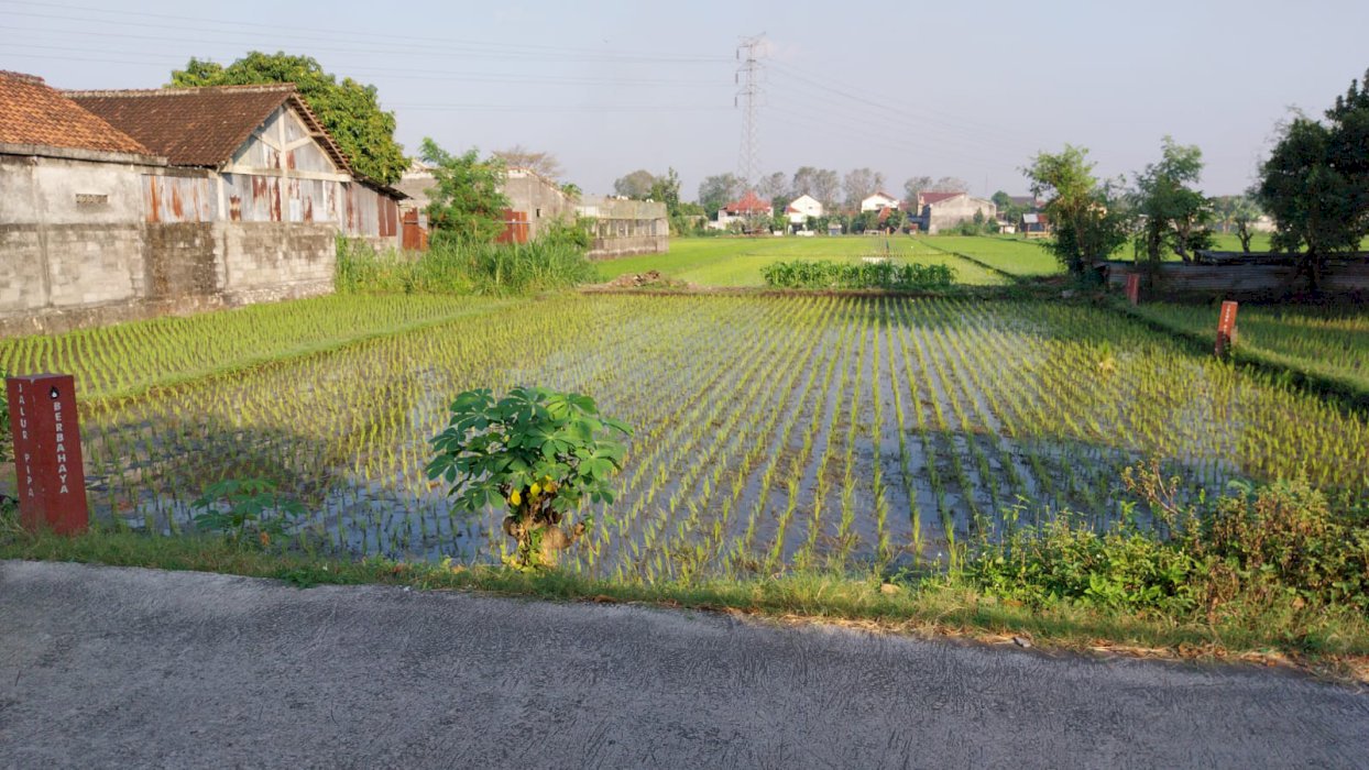 Tanah Luas di Dekat Ringroad Selatan Jogja