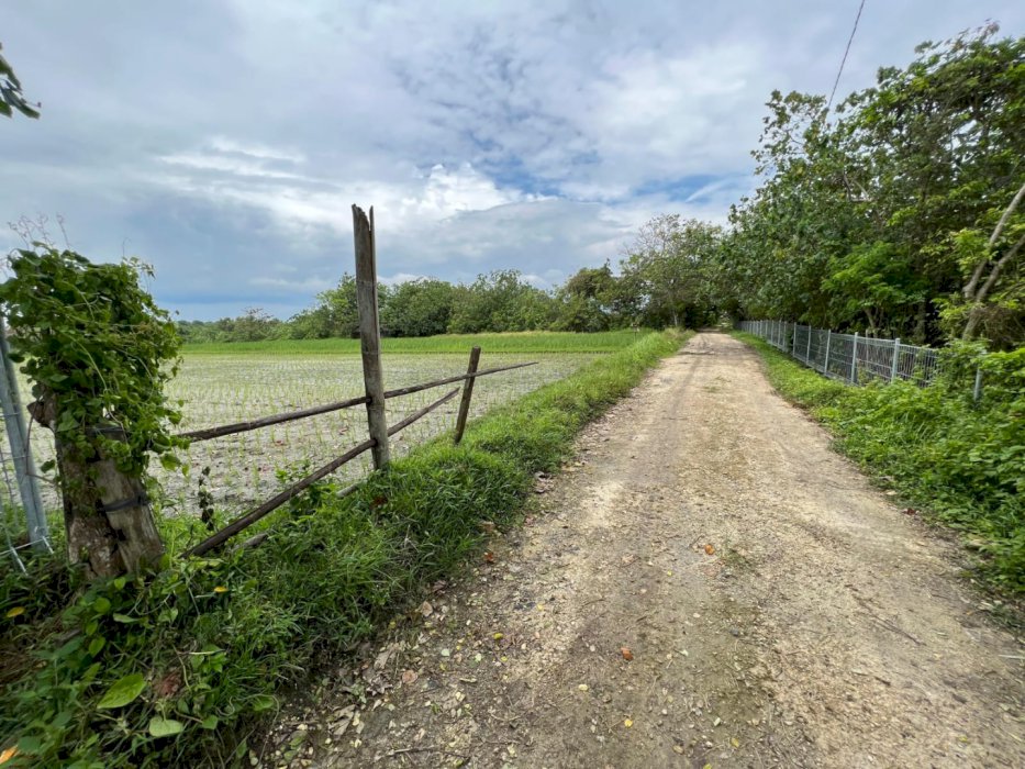 Di jual tanah srategis nuanu nyanyi