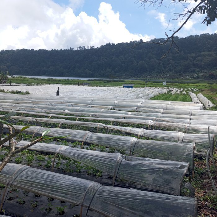 Di jual lahan srategis bedegul bali