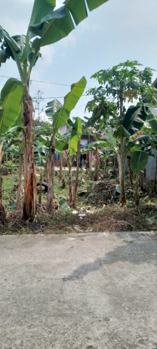 Dijual tanah lokasi strategis di kota madya kalimantan barat