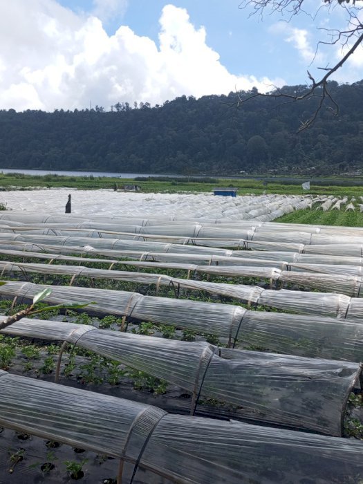 Di jual lahan lokasi srategis badegul bali