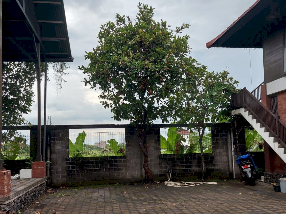 Di jual tanah lokasi Srategis kerobokan Bali