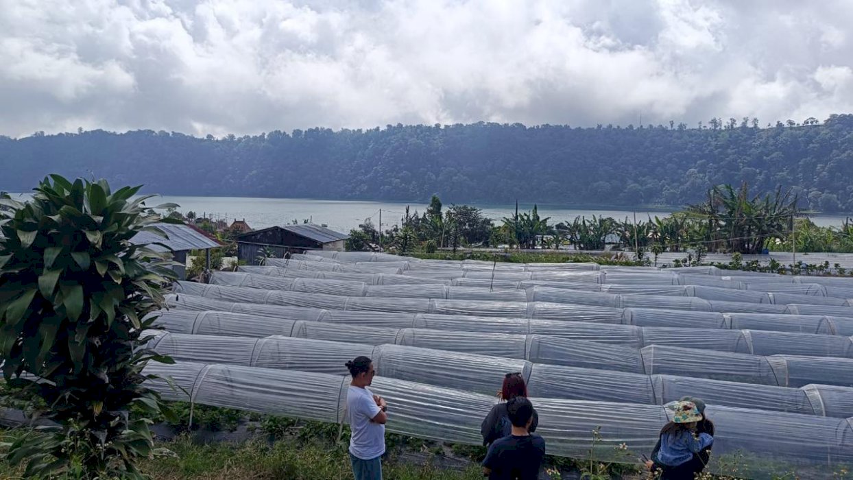 Di jual tanah Lokasi Strategis  Bedegul Bali