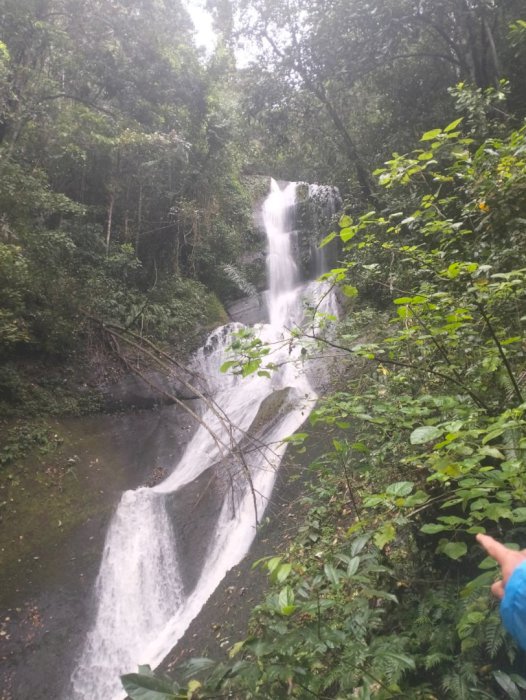 Di Jual Lahan Lokasi Strategis  Tabanan Bali