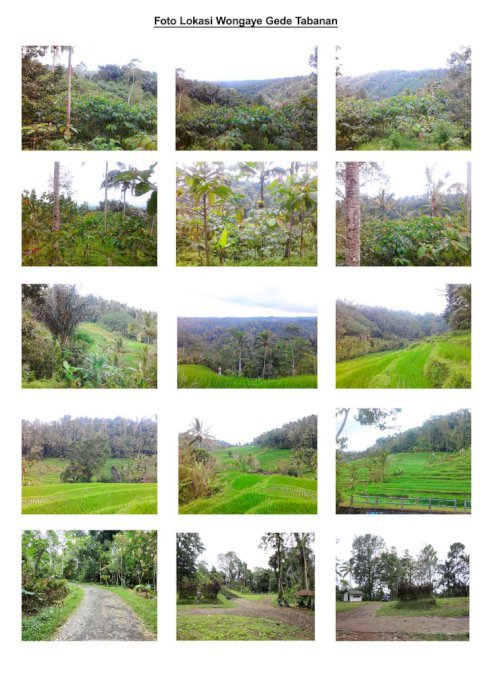 Di Jual Tanah lokasi strategis wangaya Bali