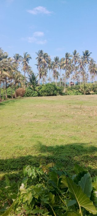 Di jual tanah lokasi strategis