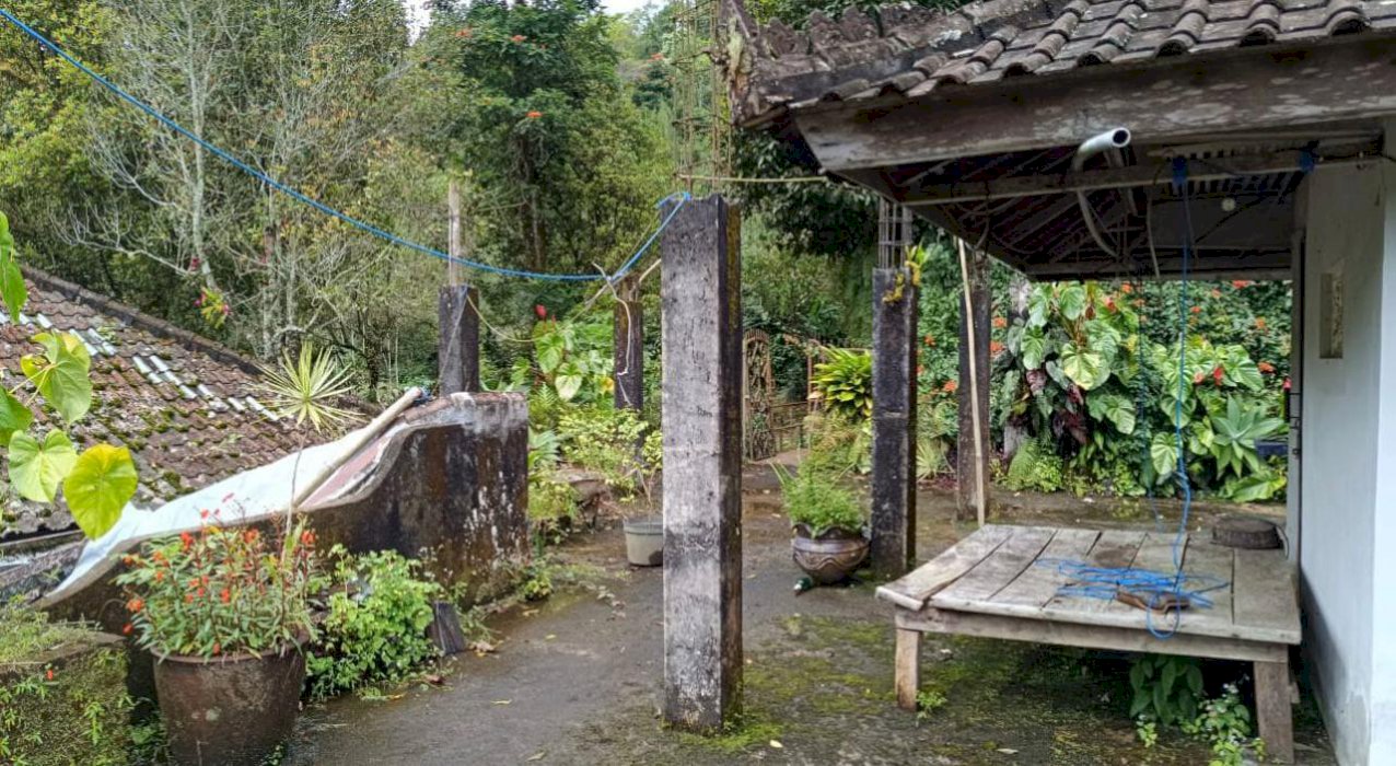 Di Jual tanah air terjun bedegul Bali