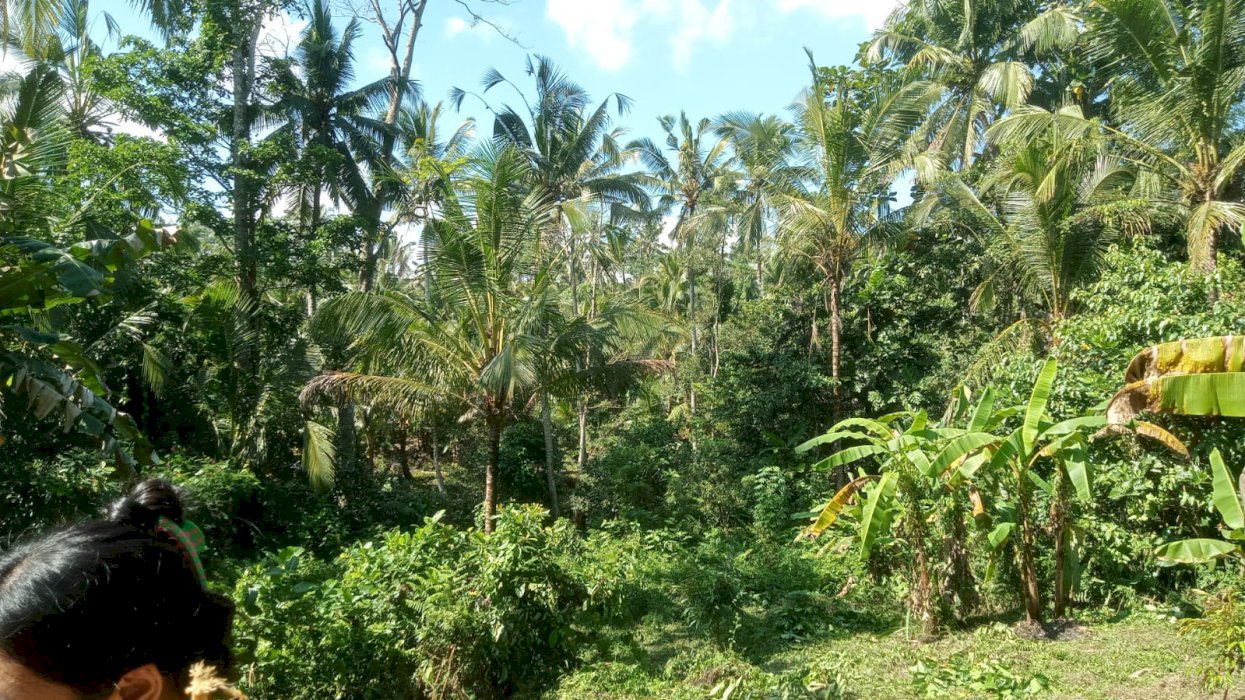 Di Jual Tanah ada air panas penebel tabanan