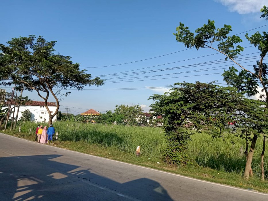 Dijual Tanah Ideal untuk Investasi Jangka Panjang di Pati