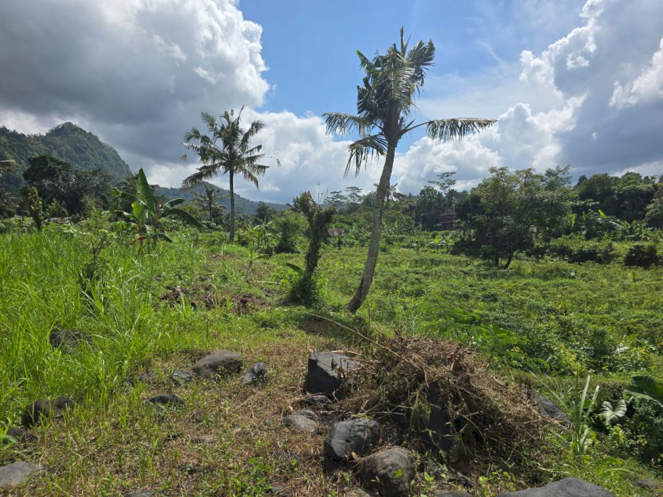 Di Jual Tanah lokasi Strategis karang asem Bali