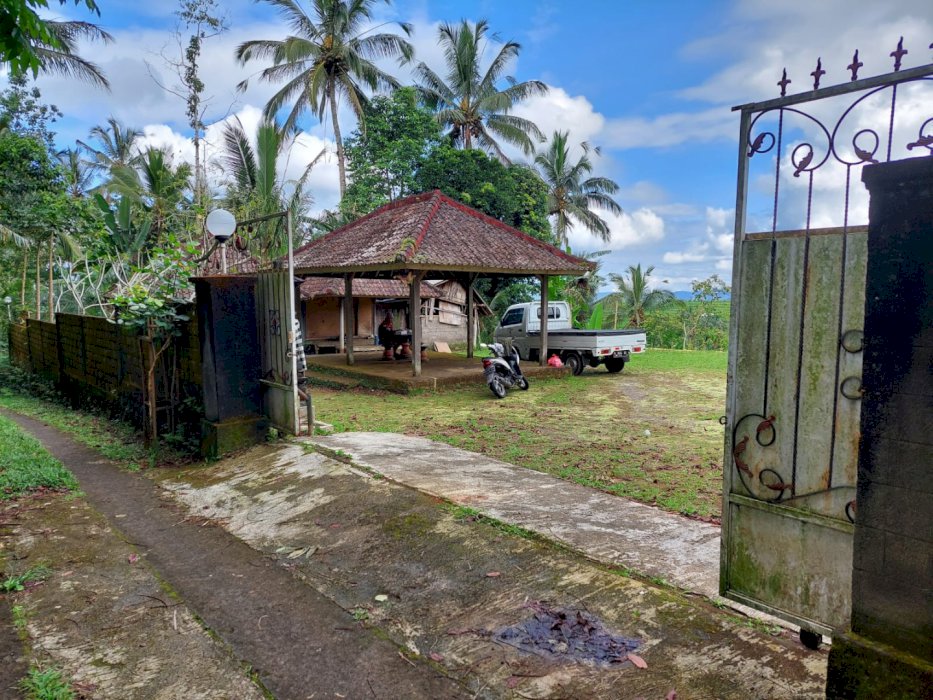 DIJUAL TANAH + VILLA & KEBUN–PUPUAN, TABANAN, BALI  NEGO SMP JADI