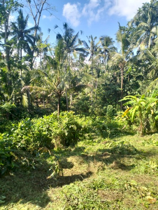 Di Jual Tanah sungai Bebatuan dusun penatahan Bali