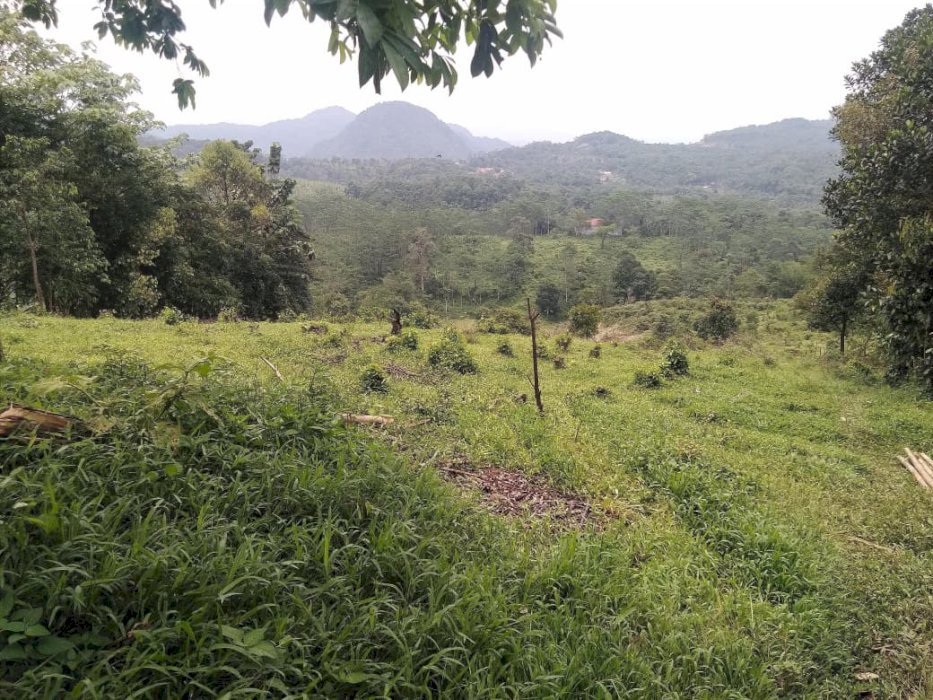 Di jual tanah dan rumah murah lokasi strategis di Jasinga Bogor Barat