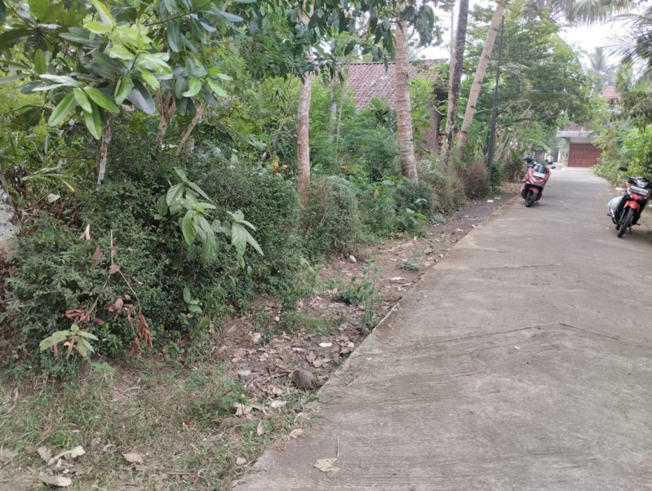 Dijual Tanah Pekarangan lokasi strategis di jawa tengah