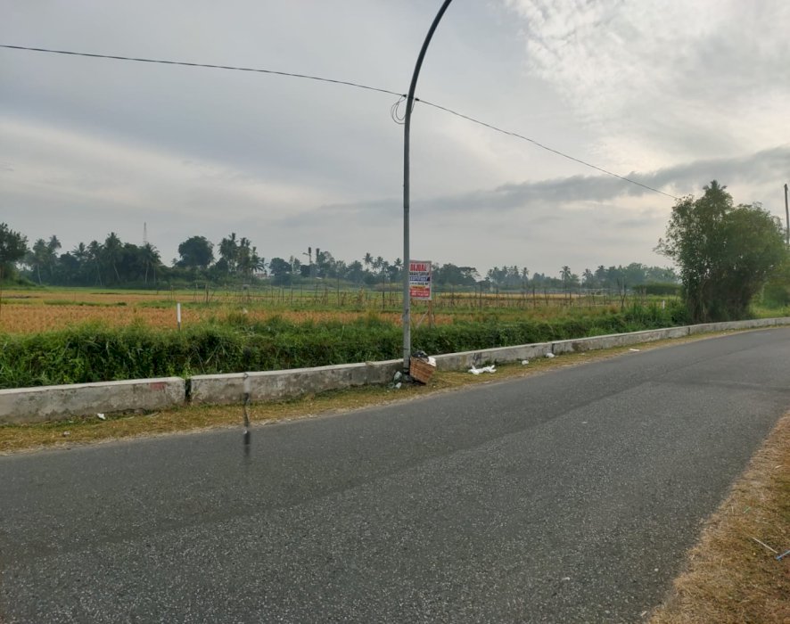 Dijual cepat tanah/sawah lokasi strategis Payakumbuh Sumatera Barat