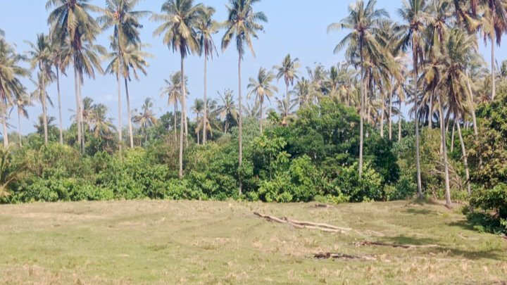 Di jual tanah strategis tabanan bali