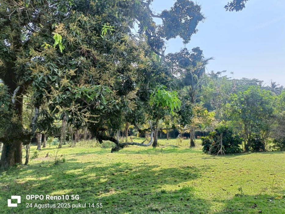 Di jual tanah siap bangun tabanan Bali