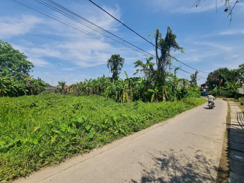Jual Tanah Karawang Barat Murah, Adiarsa Barat hanya rp 1,6 jt/M2