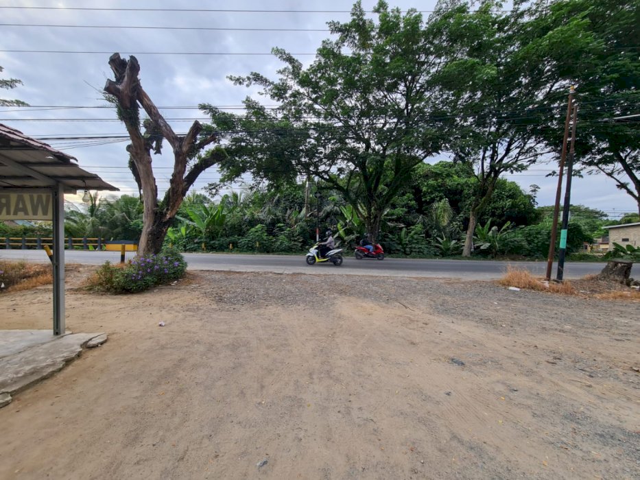 Jual Tanah Murah Tapin Jl. A Yani, Kalsel Pinggir Jalan Propinsi