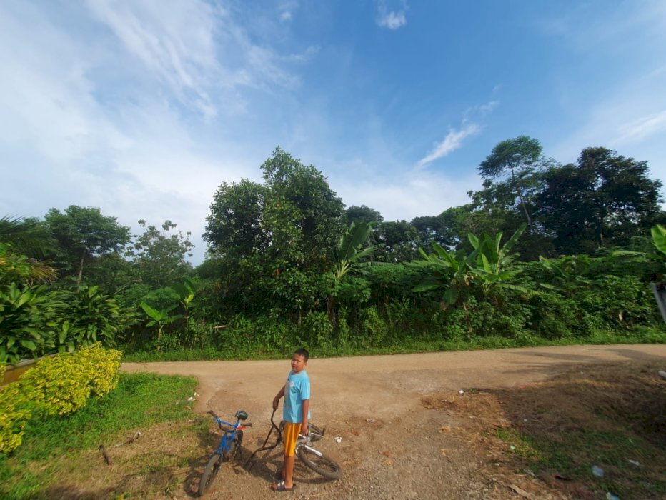 Jual Tanah Sukaresmi, Jonggol, Bogor Pinggir Jalan Murah rp 235ribu/M2