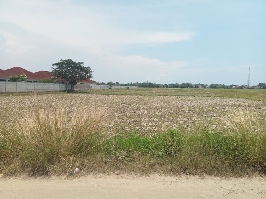 Dijual Tanah Sawah Produktif di kab. serang