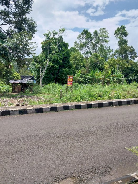 Dijual Kavling sangat strategis di Kota Agung, Tanggamus