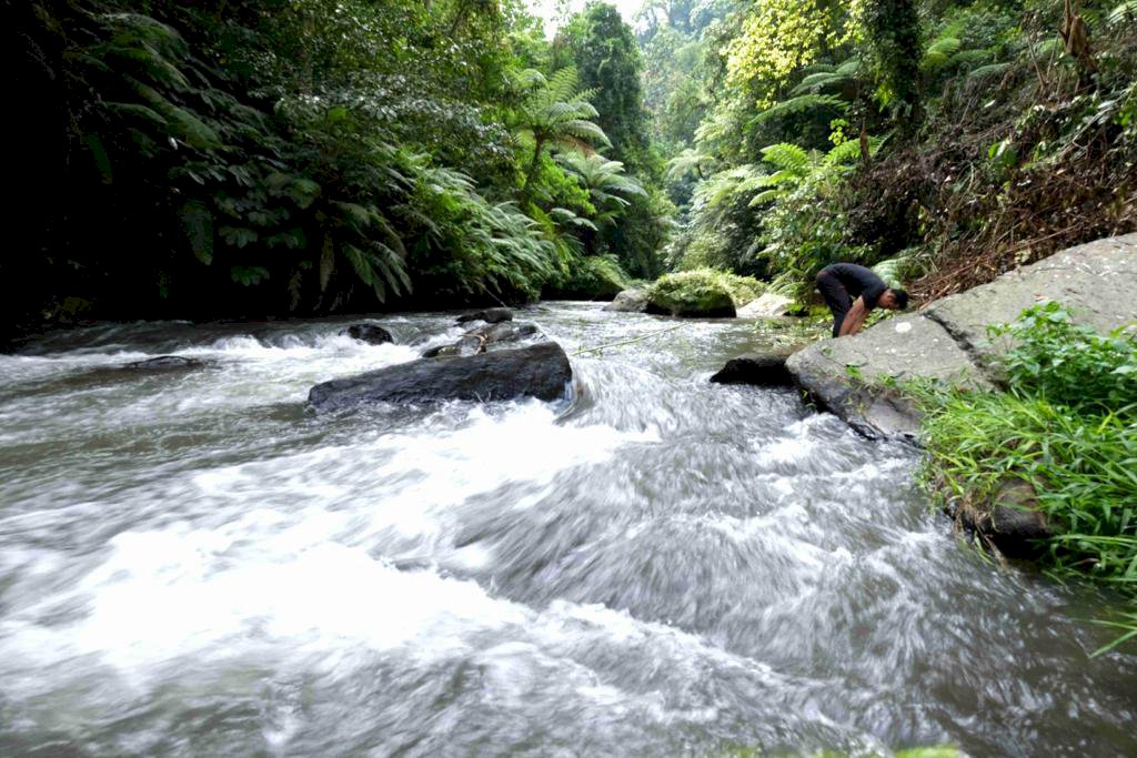 Di jual tanah ubud payangan bali