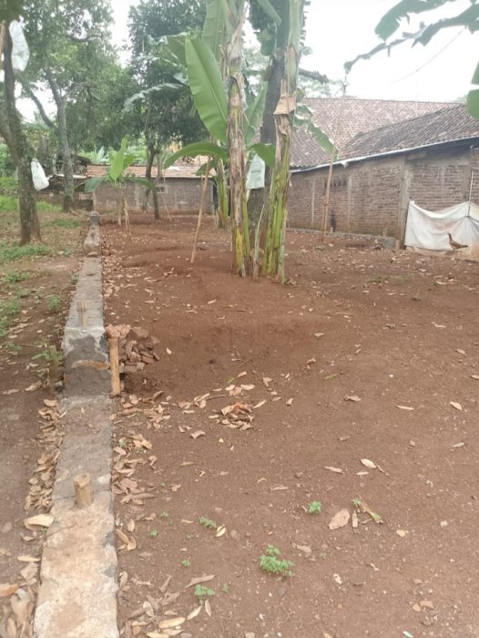 Dijual Tanah + Rumah Lokasi Strategis di jawa Tengah Penundan