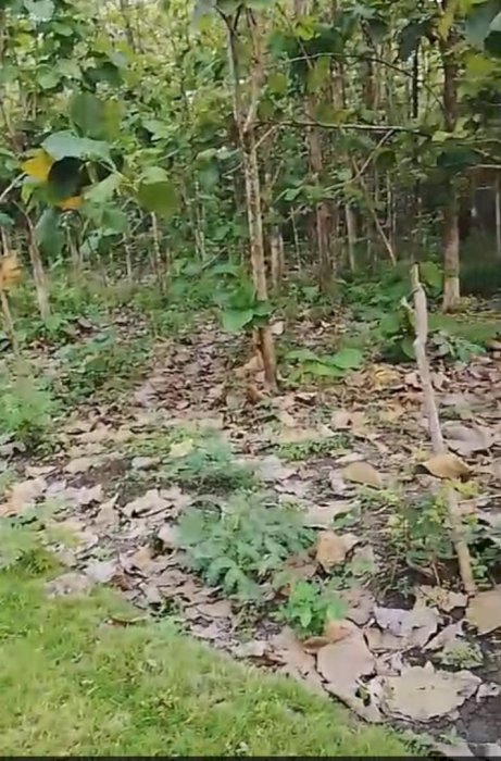 Di jual tanah siap bangun sukodono sragen