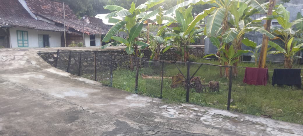 Di jual tanah lokasi strategis di  Purwodadi Grobogan