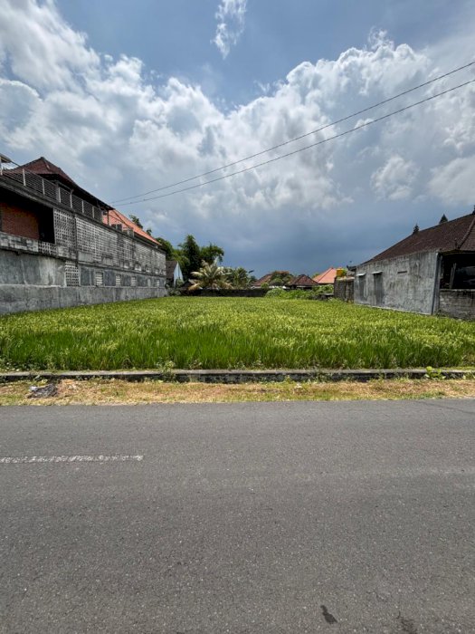 Di jual tanah lokasi strategis singapadu Bali