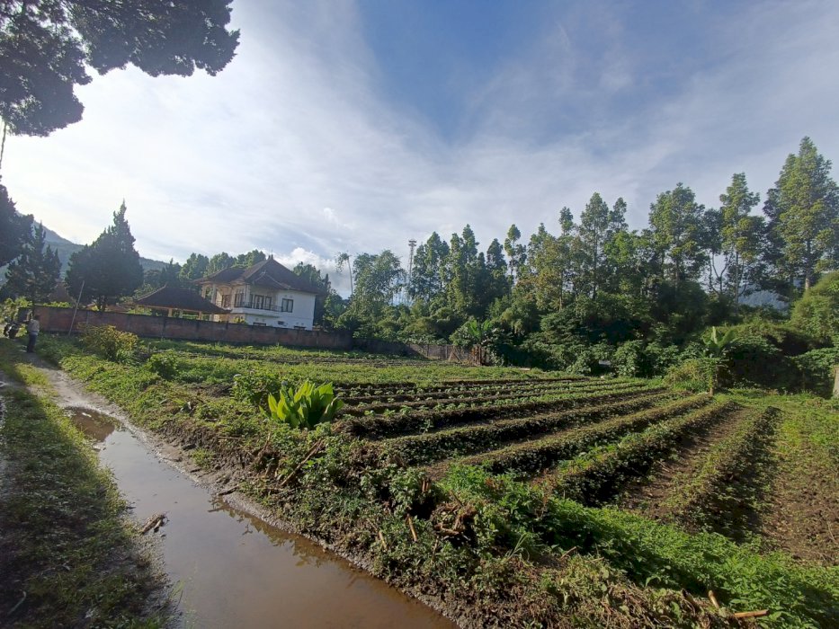 Di Jual Lahan Dekat Danau Beratan, Premium Land, Bedugul, Bali