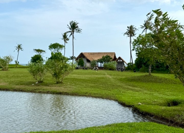 JUAL TANAH KAVLING SUPER CANTIK VIEW SAWAH Dn PANTAI DI BELONG,TABANAN