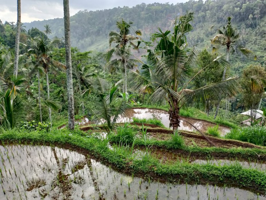 Di jual tanah siap bangun lokasi strategis Telaga waja