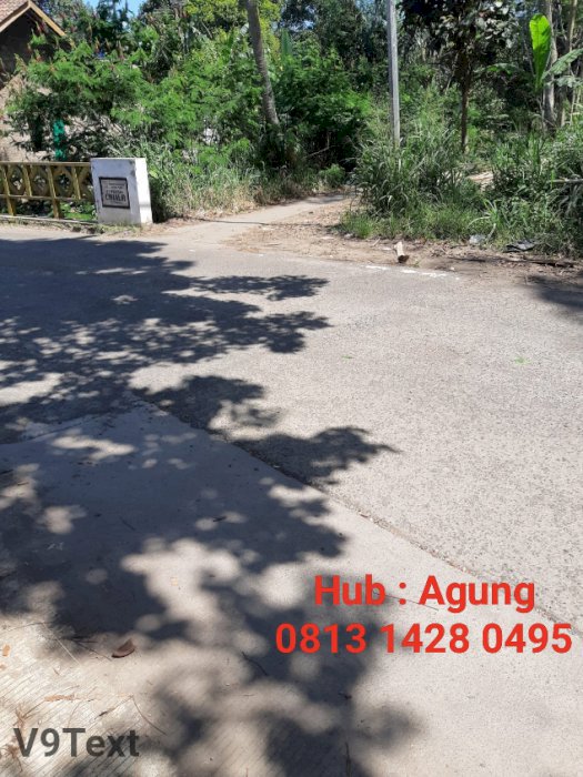 DIJUAL MURAH TANAH PERKEBUNAN DI DESA KANOMAN