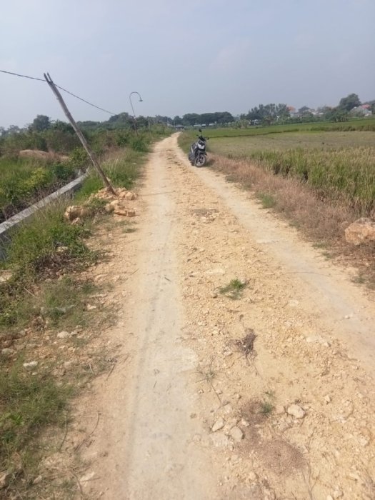 Jual sawah di desa balongpangggang, Gresik