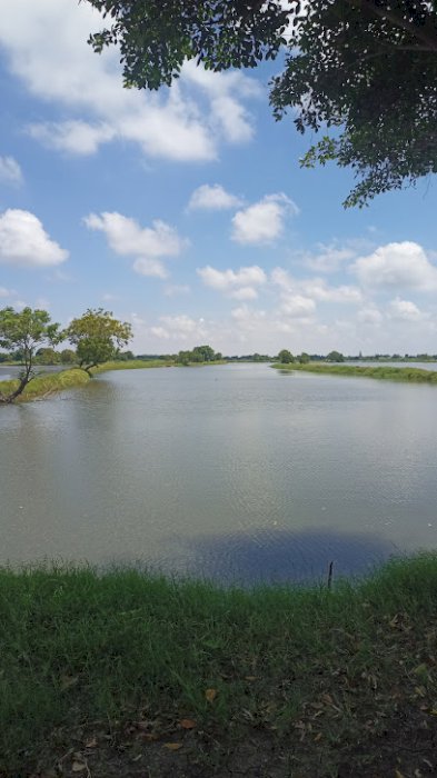 Jual Tambak di Desa Permisan,Jabon, Sidoarjo, Jawa Timur