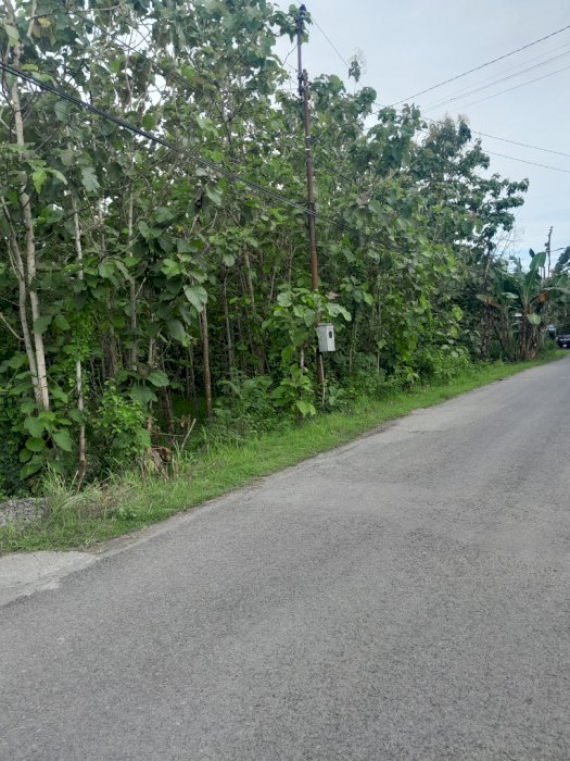 Jual Pekarangan. SHM. Jln Aspal. LD 28. LT 3.228.  Krebet Bantul DIY