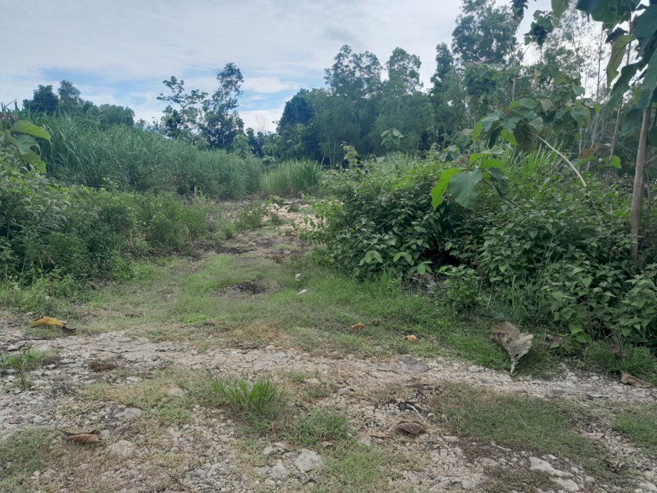 Jual Pekarangan SHM. LD 30. LT 3.858. 1 jt/mt. Bangunjiwo Bantul DIY