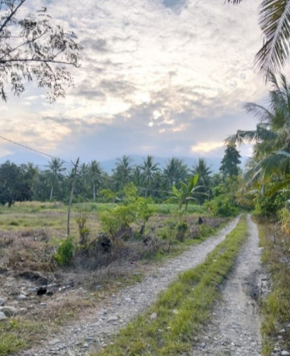 Di jual tanah kavling murah di Poso Pesisir Tabalu