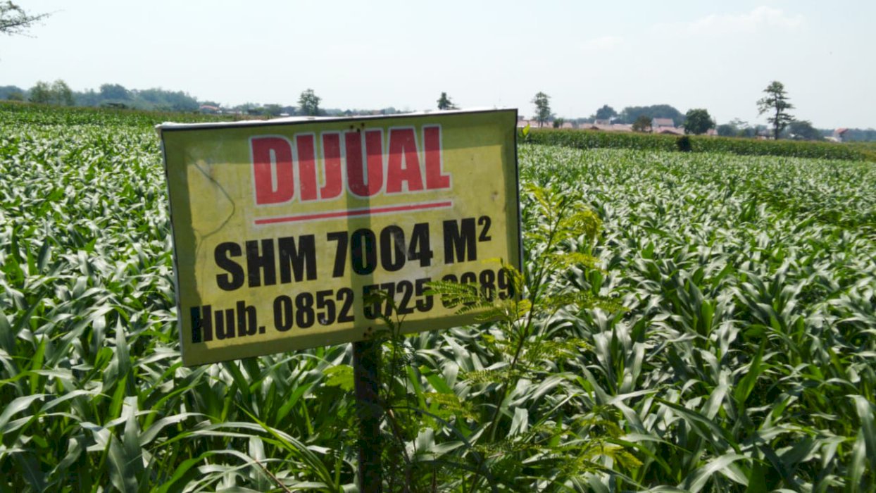 Dijual Tanah sawah Jl. Langkat Pelem Pare, Komplek Kampung Inggris