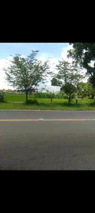 Jual Sawah SHM 900mt.2 muka LD 30. Hrg 2.25 jt/mt. Gempolan Bantul DIY